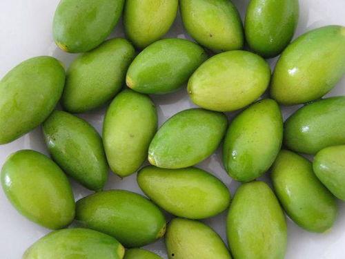 孕期吃橄榄瓜,橄榄瓜助力母婴健康